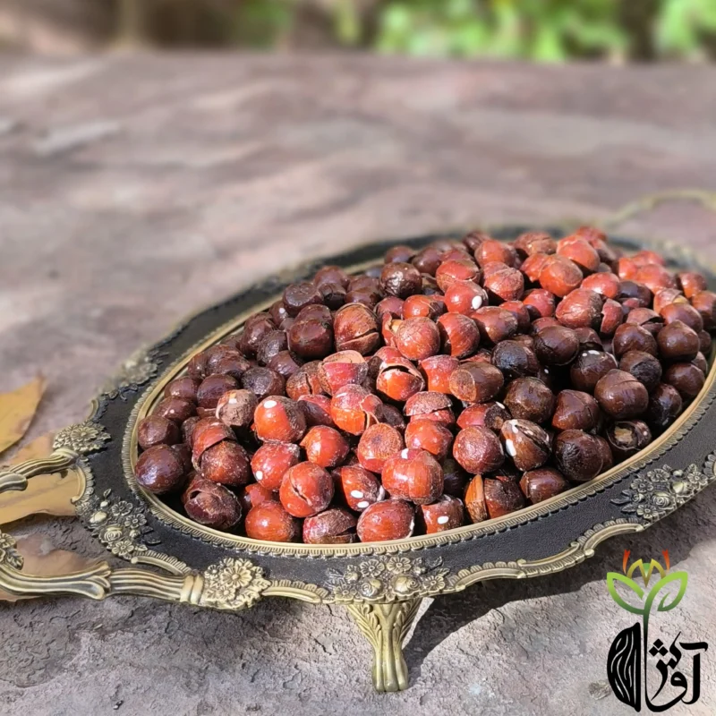 فندق با پوست