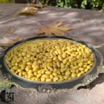 بادام زمینی پوست کنده سرکه‌ای