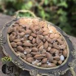 بادام کاغذی شور