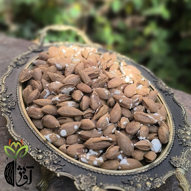 بادام کاغذی شور