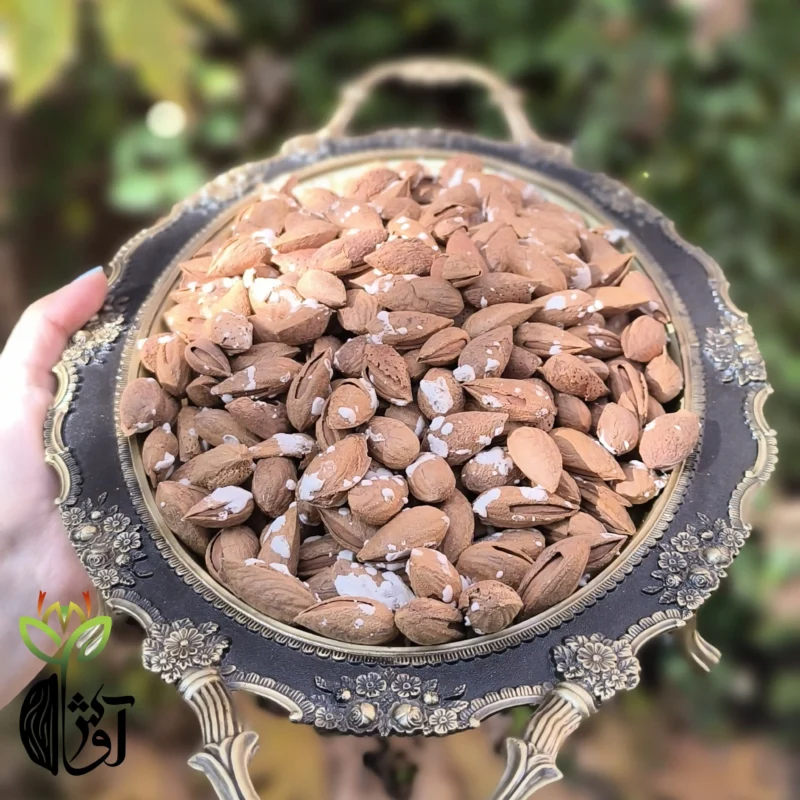 بادام کاغذی شور
