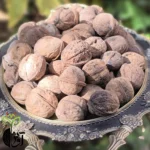 گردوی ایرانی کلات نادری