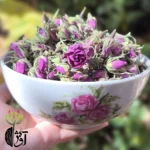 غنچه گل محمدی