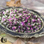 غنچه گل محمدی