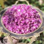 گلبرگ خشک گل محمدی
