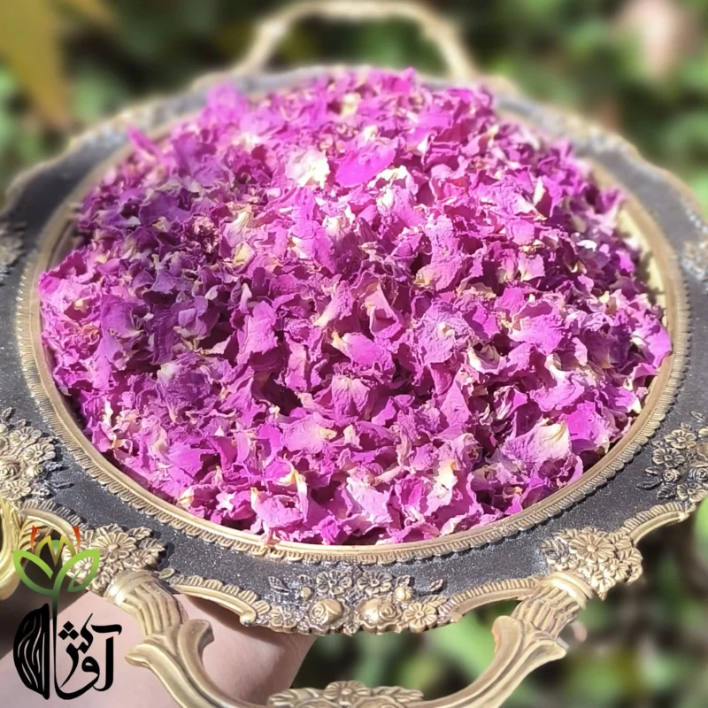 گلبرگ خشک گل محمدی