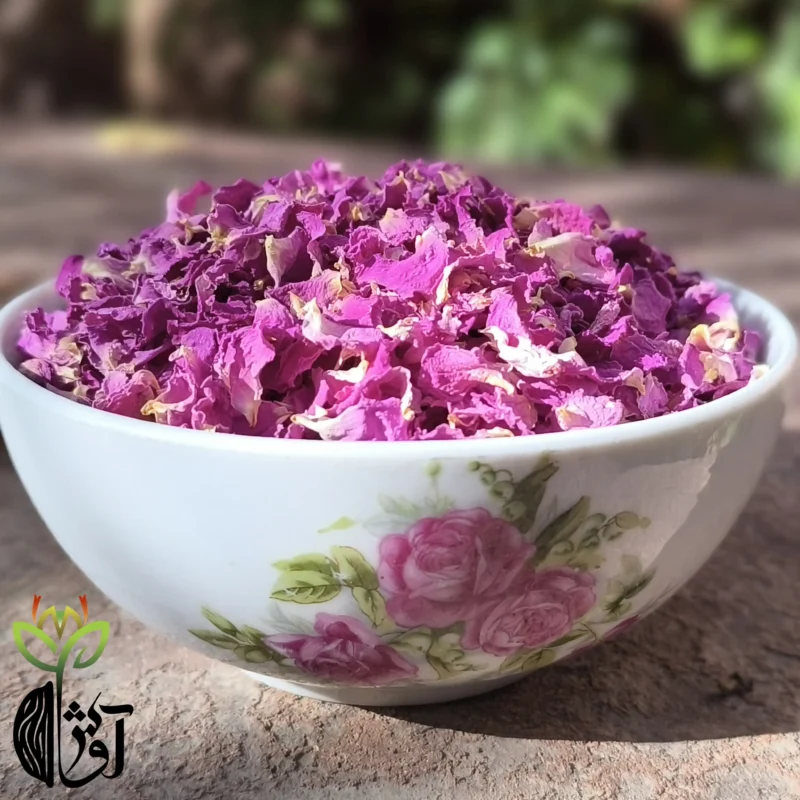 گلبرگ خشک گل محمدی